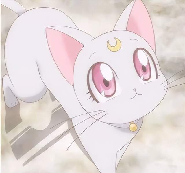 这十五只可爱到犯规的动漫萌宠,如果居家的时候有它们陪就好了__财经