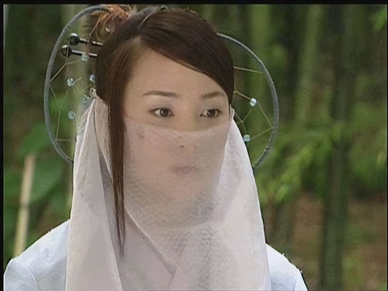 同为美人摘面纱把陈红蒋勤勤和白鹿放一起差距这就出来了