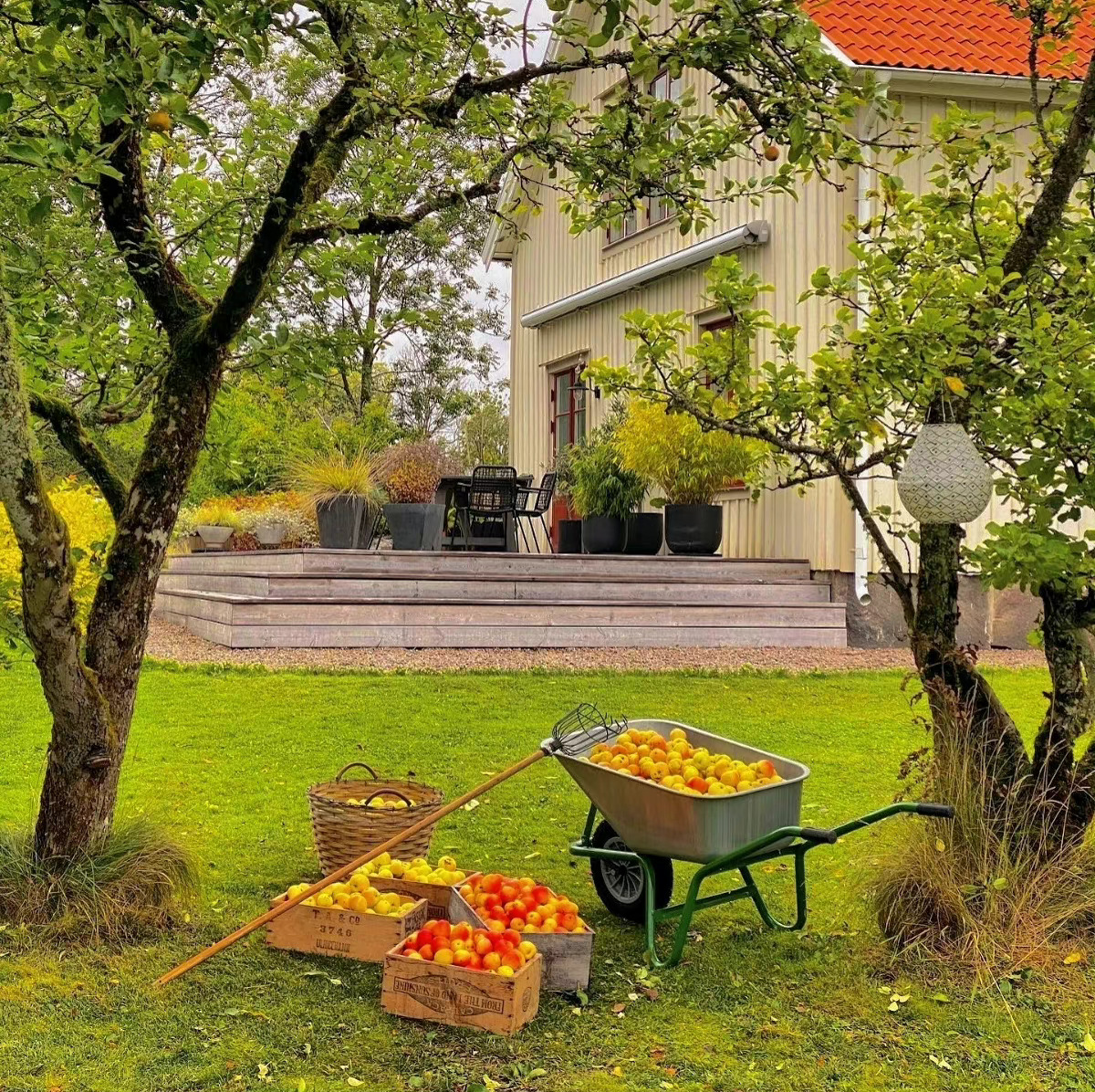 童话般的田园生活