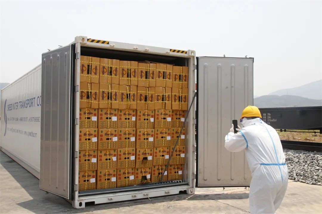 泰国冷链集装箱水果通过公路口岸入境后,采取严格消杀和核酸采样.