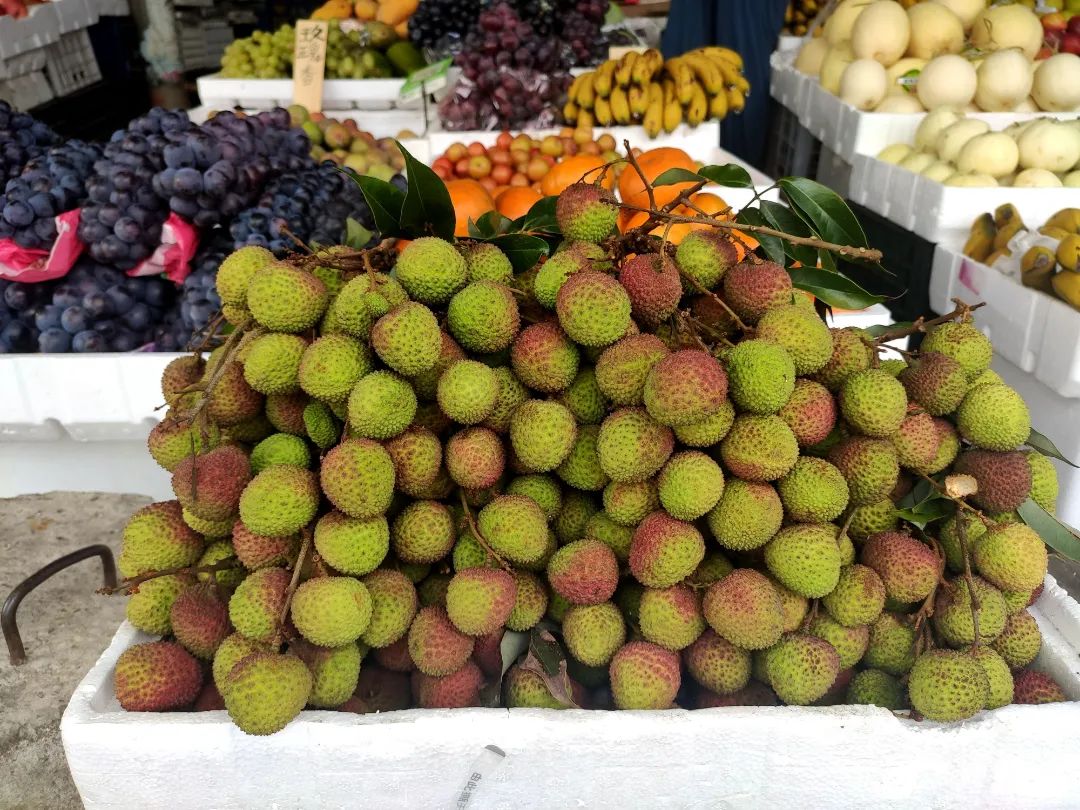 崇左夏季水果争鲜上市价格如何戳进来你就知道了
