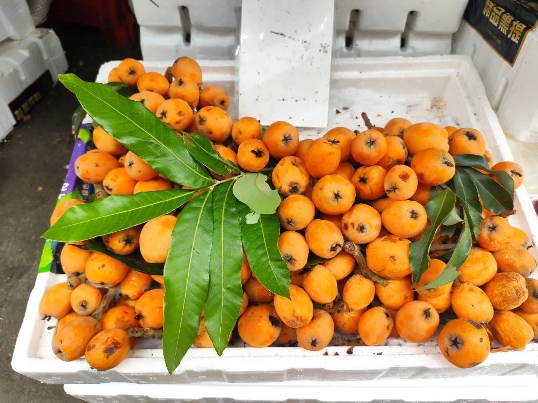 崇左夏季水果争鲜上市价格如何戳进来你就知道了