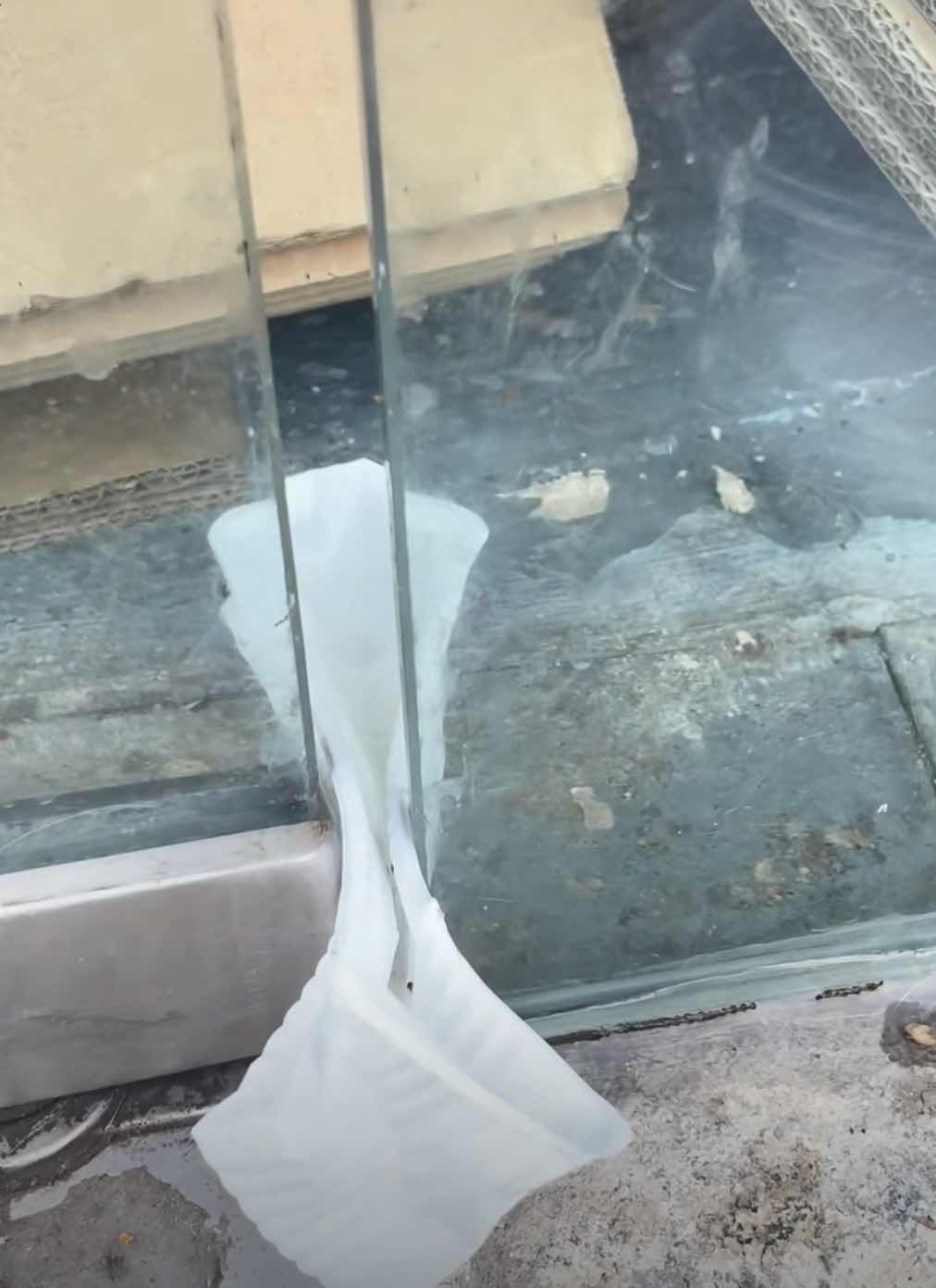 我的记“疫”丨门缝里的救助：90后小伙与被困的橘白猫休闲区蓝鸢梦想 - Www.slyday.coM