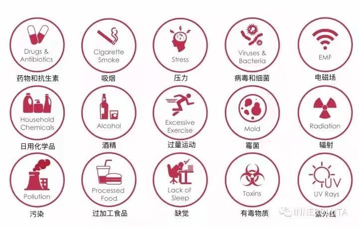 低密度脂蛋白胆固醇是坏血脂吗是这些因素让它变坏