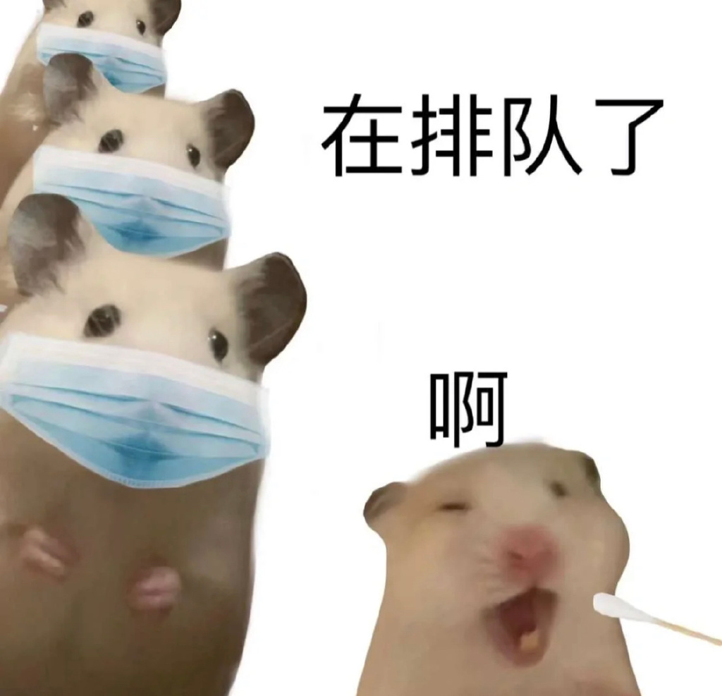 大家熟悉的表情包都有这么一个表情包好像每个核酸检测现场网友表示