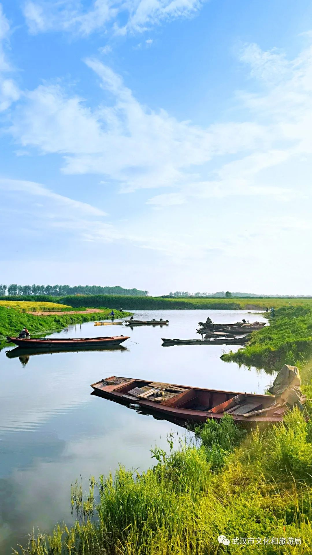 桐湖湿地公园(摄影/朱恒足)