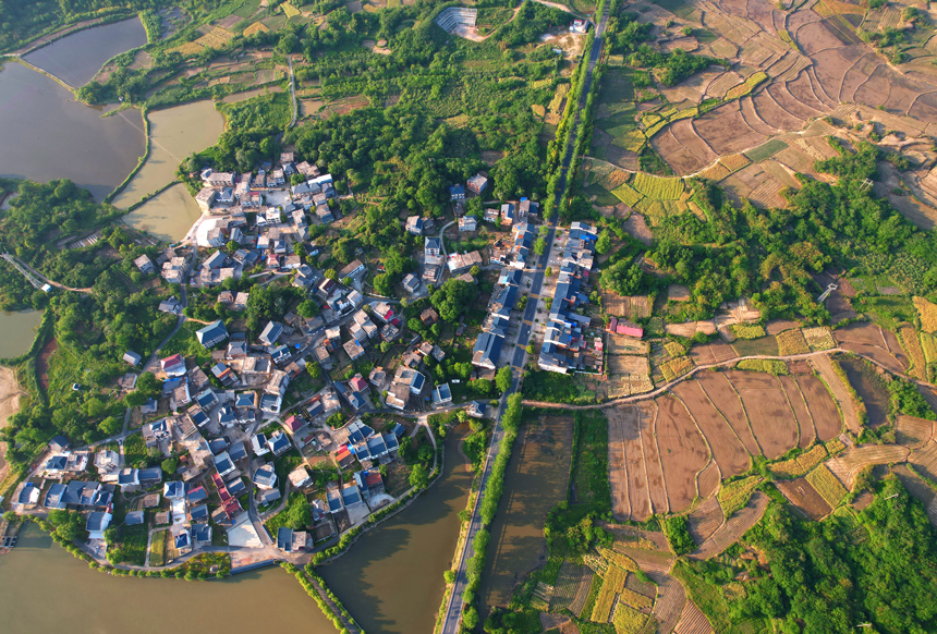 欧阳海员摄近日,江西省彭泽县马当镇青山村一派生机勃勃的景象.