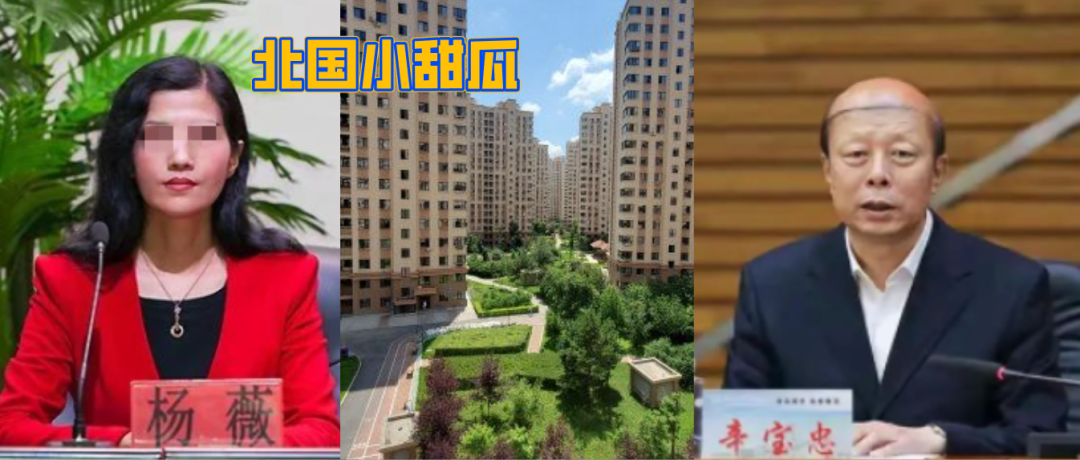 惊魂！美女局长19楼坠亡，校长丈夫被捕！婚姻不可怕，怕的是挑错伴侣休闲区蓝鸢梦想 - Www.slyday.coM