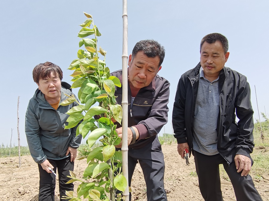 他没有停在“半山”——记全国“最美林草科技推广员”王吉贵休闲区蓝鸢梦想 - Www.slyday.coM