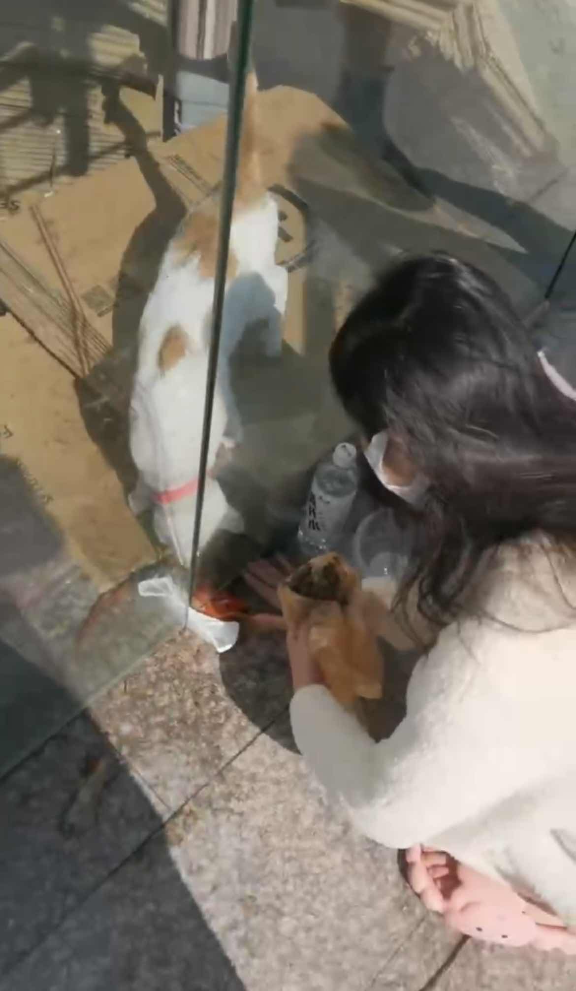 我的记“疫”丨门缝里的救助：90后小伙与被困的橘白猫休闲区蓝鸢梦想 - Www.slyday.coM