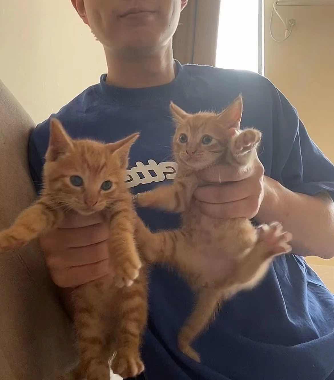 我的记“疫”丨门缝里的救助：90后小伙与被困的橘白猫休闲区蓝鸢梦想 - Www.slyday.coM