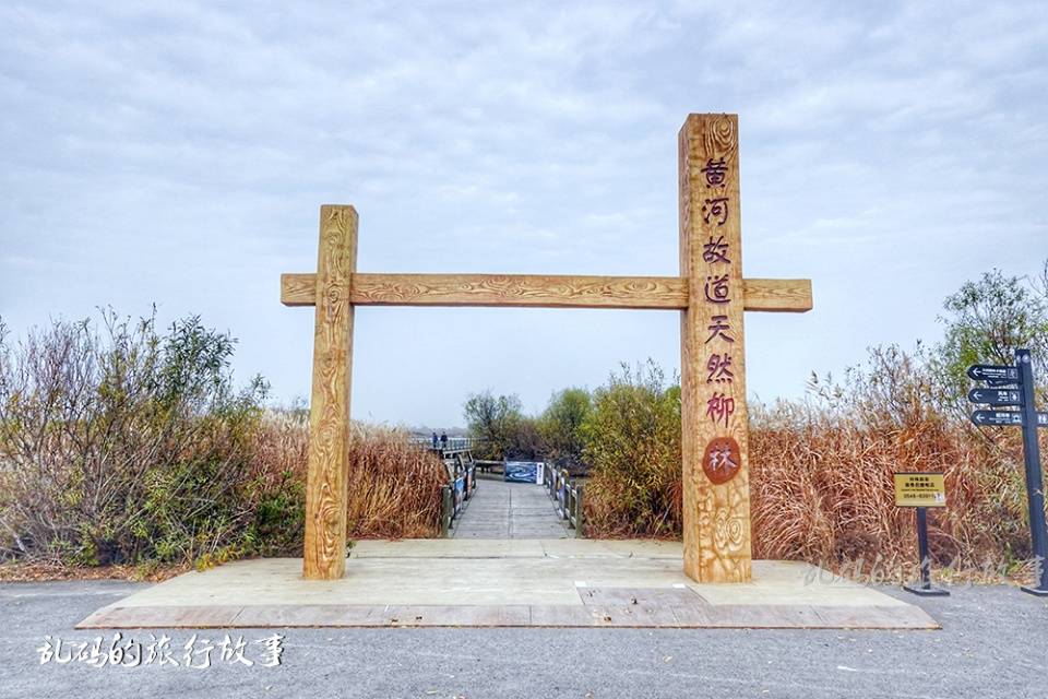 山东这处5A景区 有2万亩“水上柳林”奇观 被誉为“候鸟天堂”