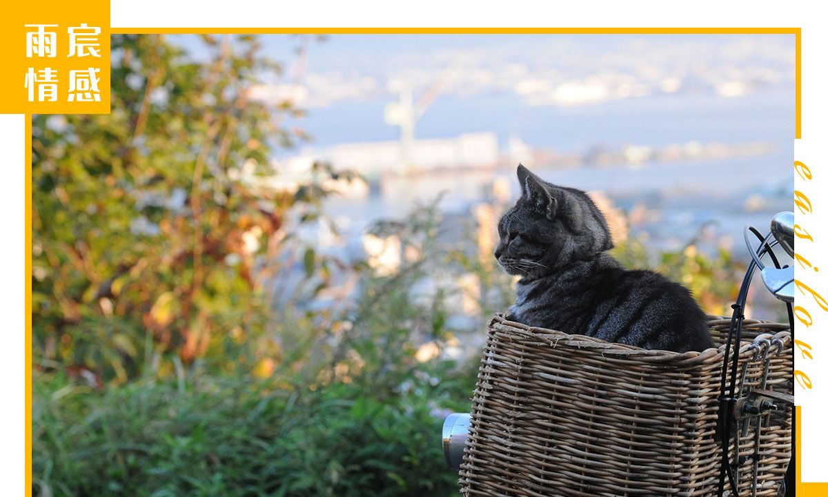 男生会喜欢一个经常找他聊天的女生吗（下）？休闲区蓝鸢梦想 - Www.slyday.coM