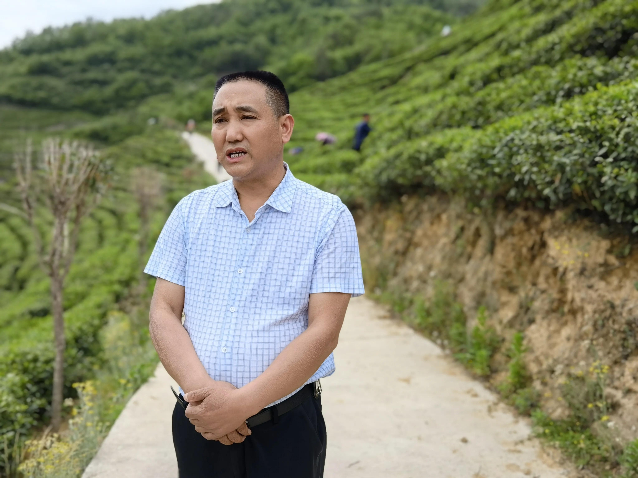 第三届陕西网上茶博会走进三元泾洋助力镇巴茶叶品牌