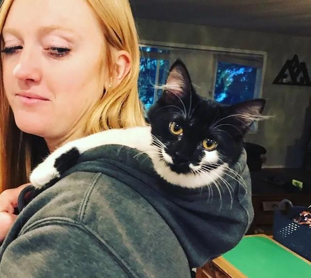 小猫从险境被救后,结果养成了与主人拥抱的习惯,感恩方式好暖心休闲区蓝鸢梦想 - Www.slyday.coM 小猫从险境被救后,结果养成了与主人拥抱的习惯,感恩方式好暖心休闲区蓝鸢梦想 - Www.slyday.coM