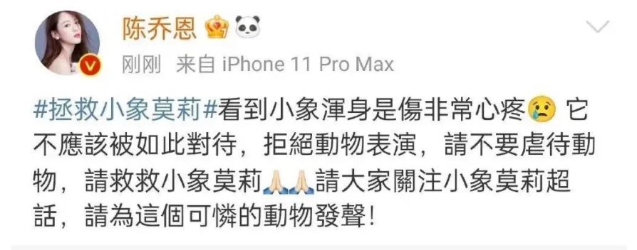 小象莫莉，何以为家休闲区蓝鸢梦想 - Www.slyday.coM