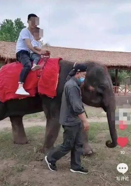 小象莫莉，何以为家休闲区蓝鸢梦想 - Www.slyday.coM