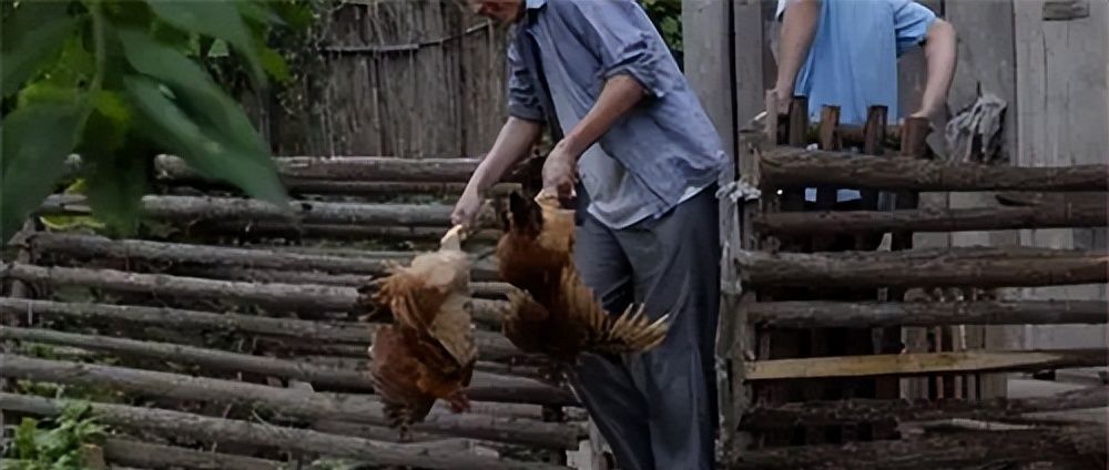 偷鸡不成蚀把米的故事 穷人续写与女扮男装小说