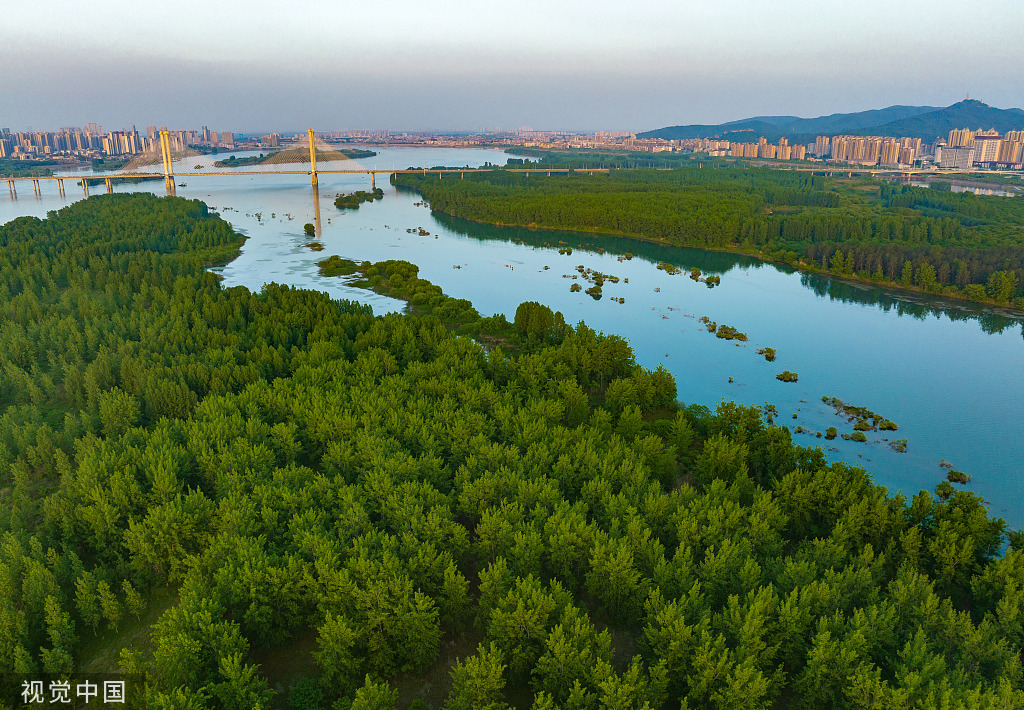 湖北襄阳汉江国家湿地公园绿意盎然水天一色