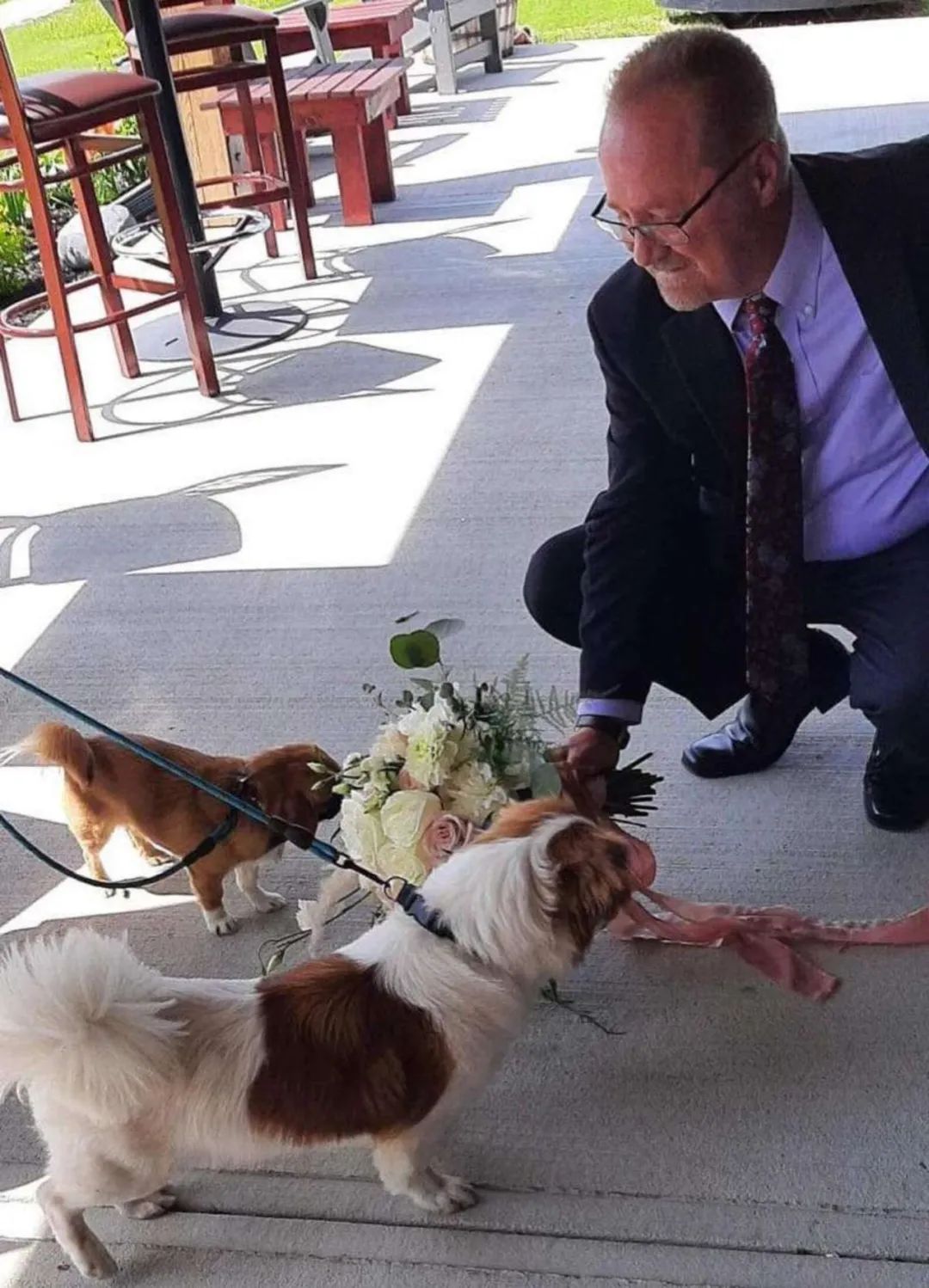 一只狗可以有多浪漫？它坚持要闻自己遇到的每一朵花...休闲区蓝鸢梦想 - Www.slyday.coM