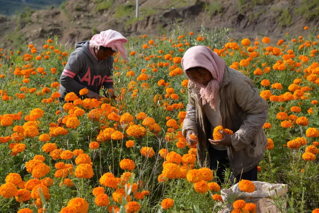李耕耘和于朦胧什么关系
