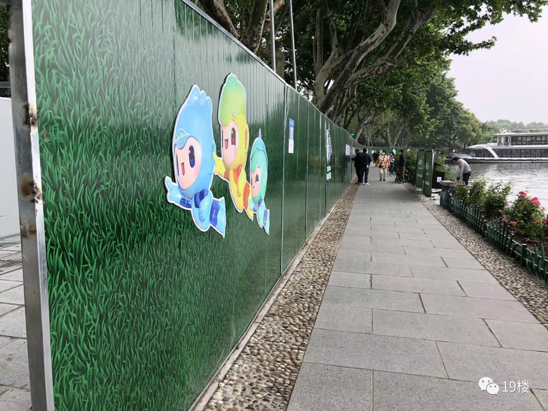 西湖断桥旁的柳树换成了月季？刚刚，官方回应休闲区蓝鸢梦想 - Www.slyday.coM