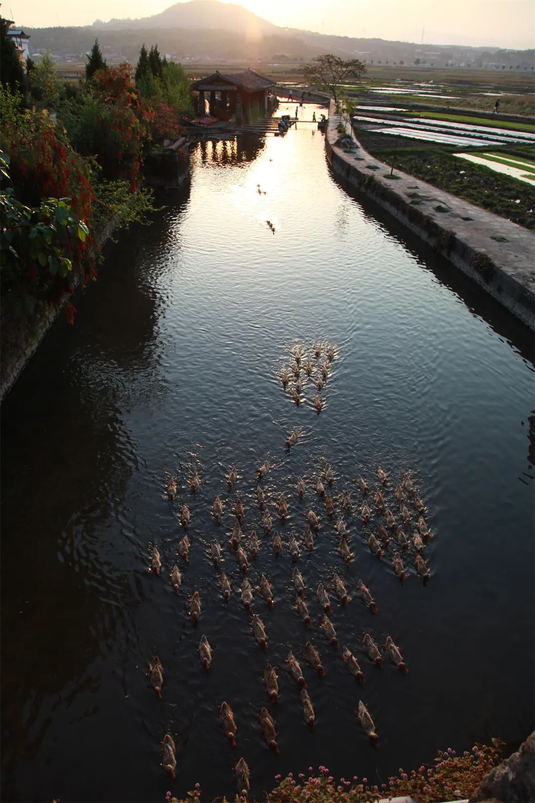 江河湖库皆诗意丨腾冲大盈江