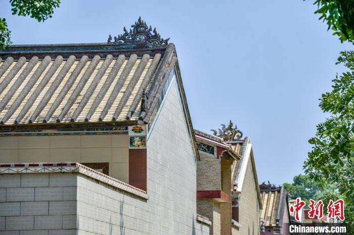 海南侨乡文昌白土村大花园里风景独好