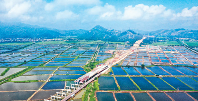 5月6日，广东省江门市黄茅海跨海通道建设现场。该通道建成通车后，将与港珠澳大桥、深中通道、南沙大桥、虎门大桥共同组成粤港澳大湾区跨海跨江通道群。新华社记者 刘大伟摄