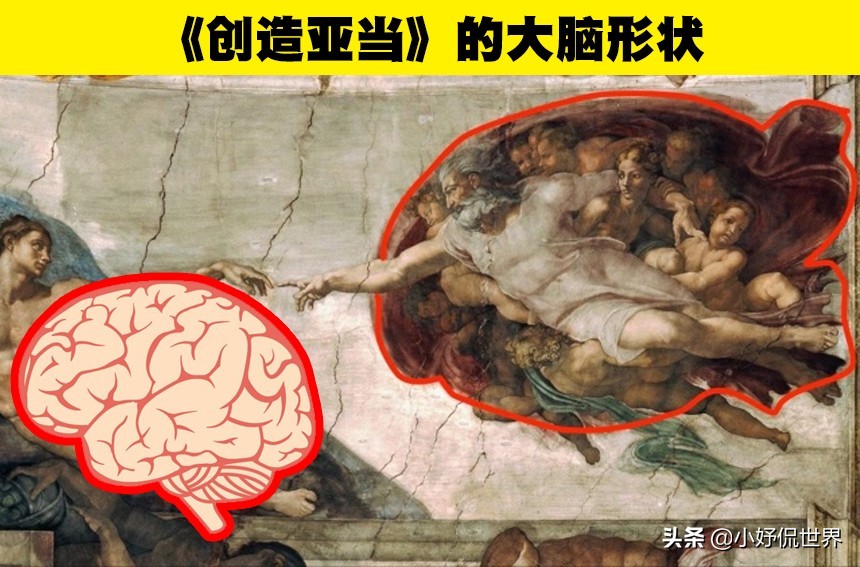 人士的研究,而他在西斯廷教堂天花板上创造的作品之一《创造亚当》中