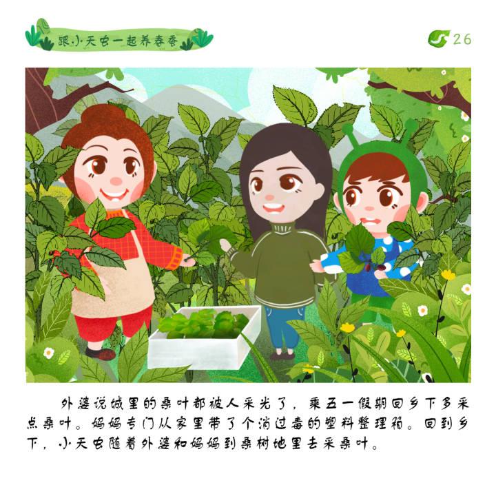 跟着小天虫一起养春蚕五一采桑叶