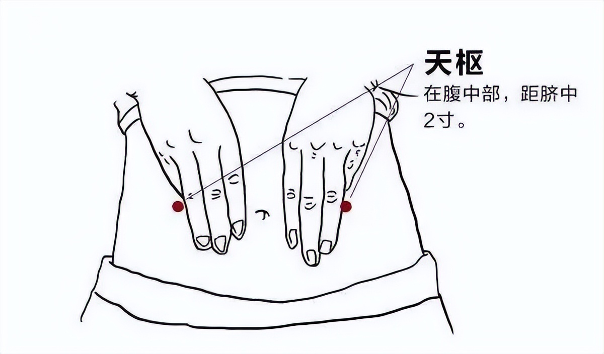 ① 天枢穴:在脐旁开两寸,用食中指的指腹轻轻揉按,可达到促进肠道蠕动
