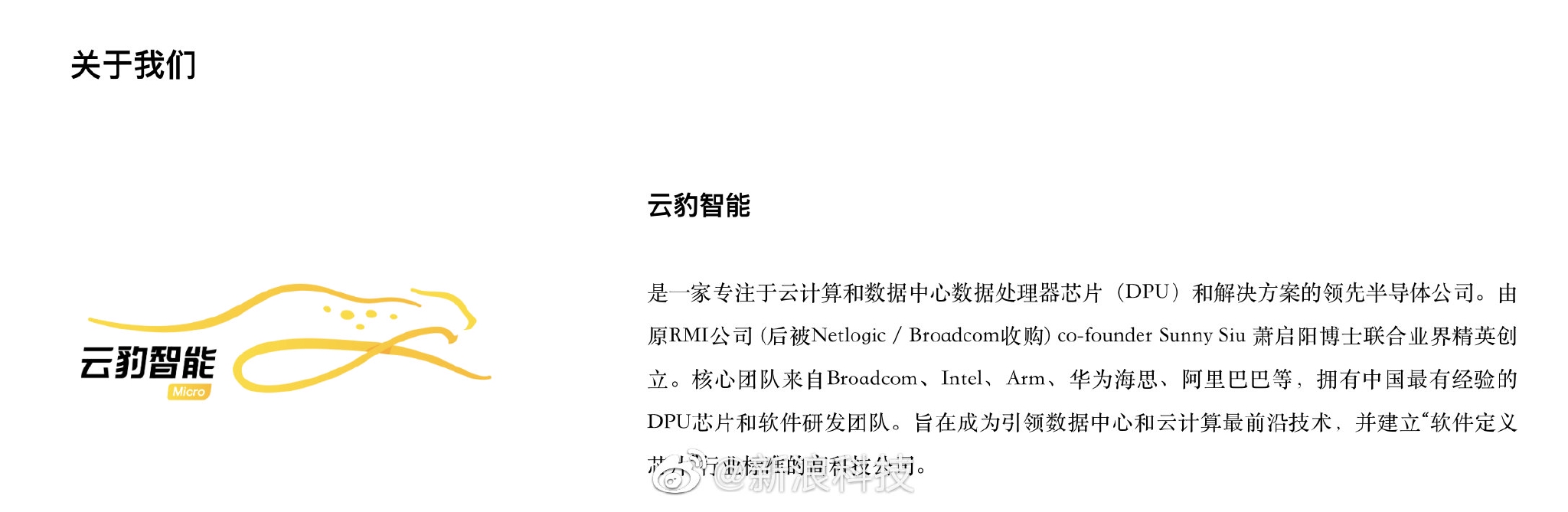 腾讯增资深圳半导体公司云豹智能