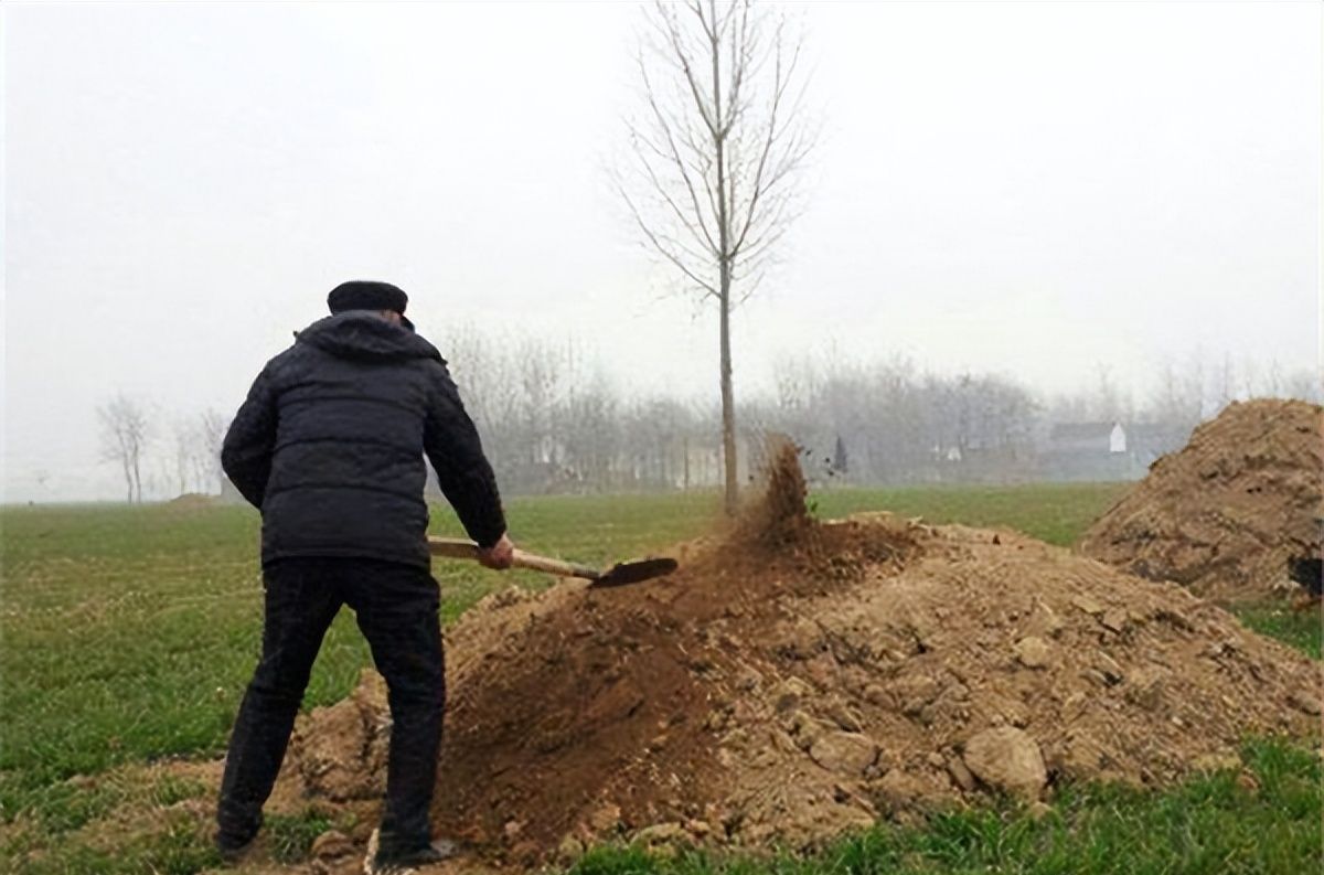 坟墓|古坟|老坟_新浪新闻