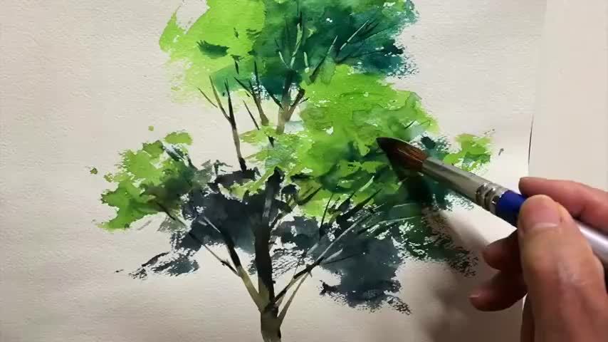 柴崎春通用水彩画树,这个起笔就是大师的即视感,很随性了!