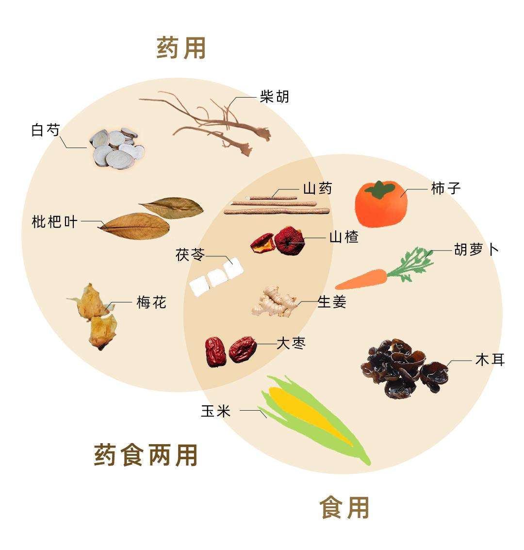 现代"药膳食疗"古和斋知多少