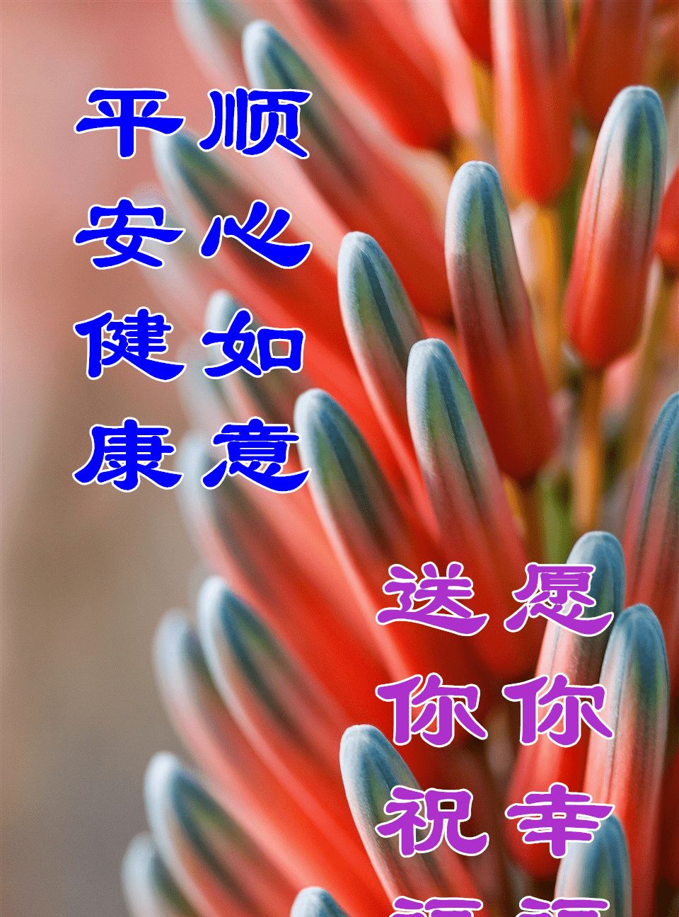 朋友圈新版早安祝福语阳光图片带字精选早安问候图带字