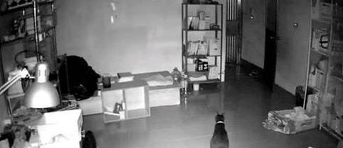 主人出差回家看到监控心都碎了,原来猫咪在家只做一件事休闲区蓝鸢梦想 - Www.slyday.coM 主人出差回家看到监控心都碎了,原来猫咪在家只做一件事休闲区蓝鸢梦想 - Www.slyday.coM