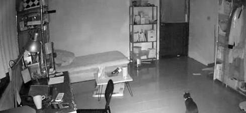 主人出差回家看到监控心都碎了,原来猫咪在家只做一件事休闲区蓝鸢梦想 - Www.slyday.coM 主人出差回家看到监控心都碎了,原来猫咪在家只做一件事休闲区蓝鸢梦想 - Www.slyday.coM