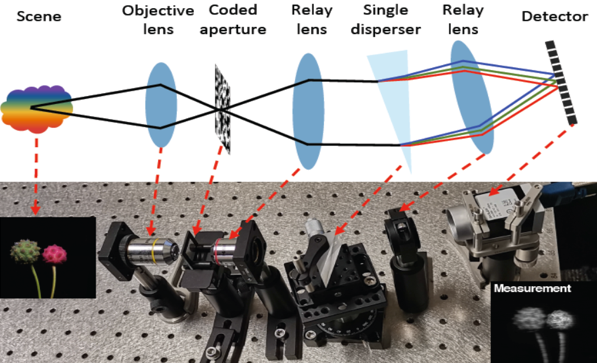 怎么更新网站快照