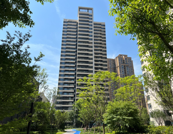 （简阳碧桂园云樾名邸项目实景图）