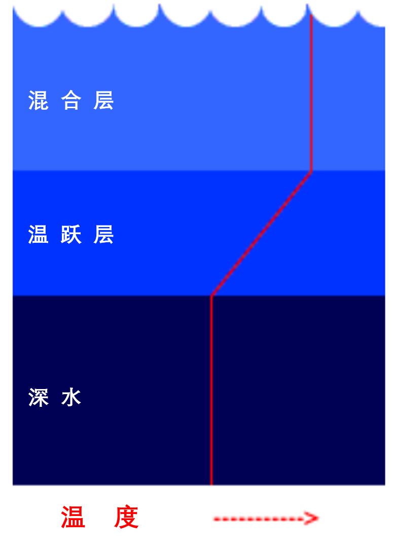 我们都知道,由于太阳的功劳,海水的表面是比较温暖的,而下部不能接触