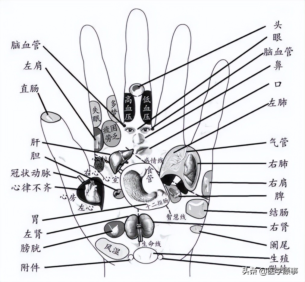 手掌手背可以治百病的穴位90的人不知道