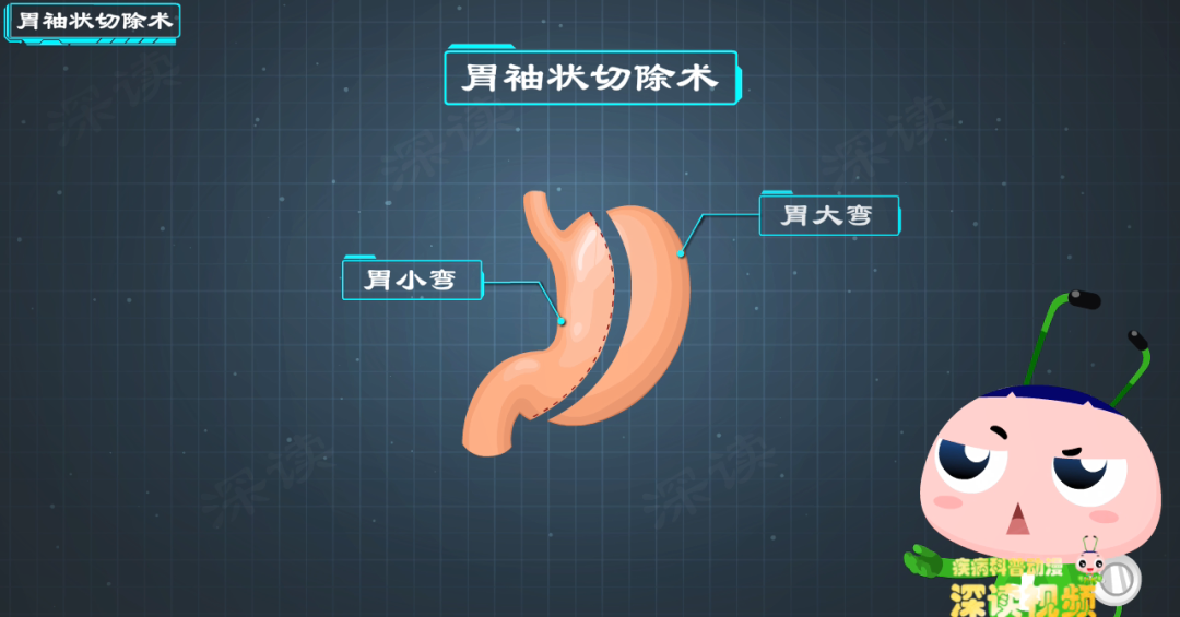 硬核休闲区蓝鸢梦想 - Www.slyday.coM