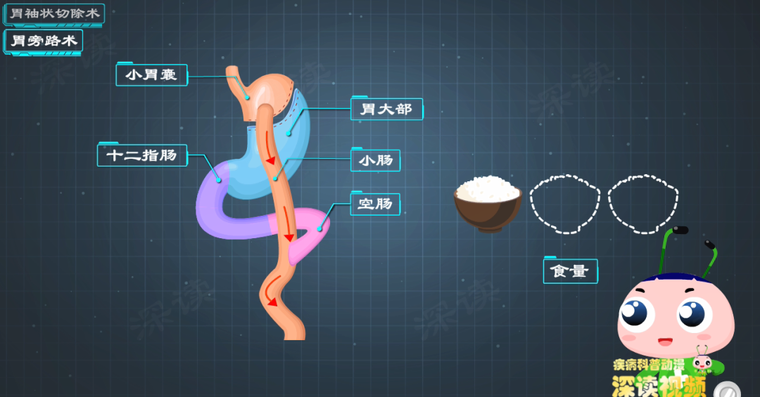 硬核休闲区蓝鸢梦想 - Www.slyday.coM