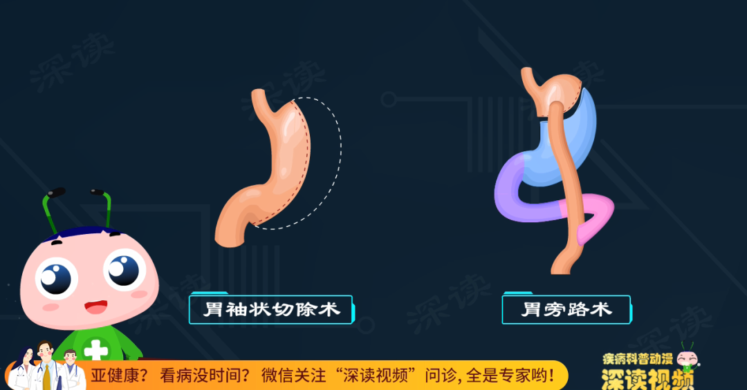 硬核休闲区蓝鸢梦想 - Www.slyday.coM