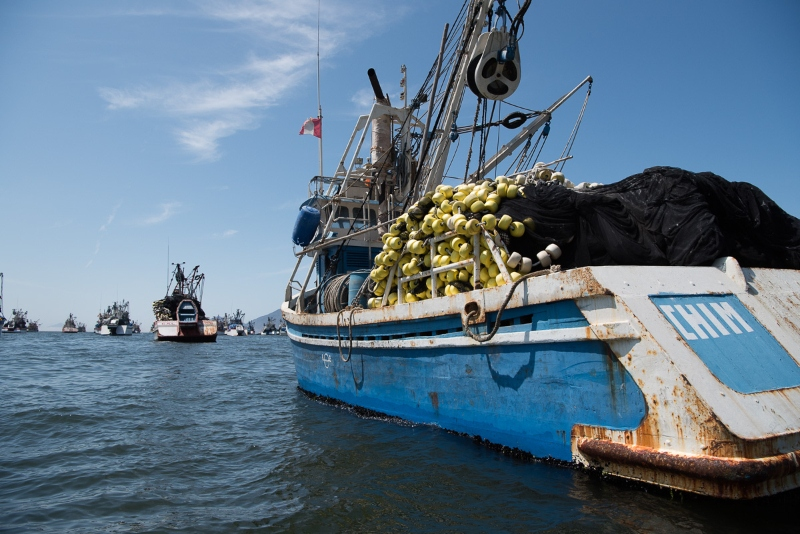 秘鲁渔场上升流图片
