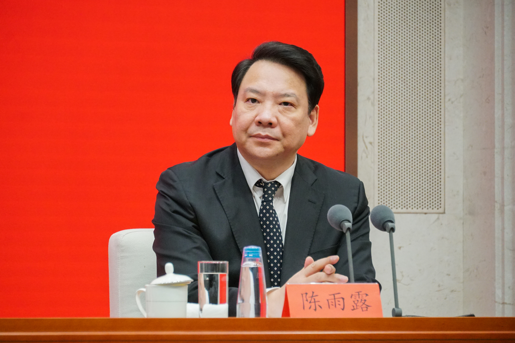 中国人民银行副行长陈雨露  澎湃新闻记者 周頔 摄