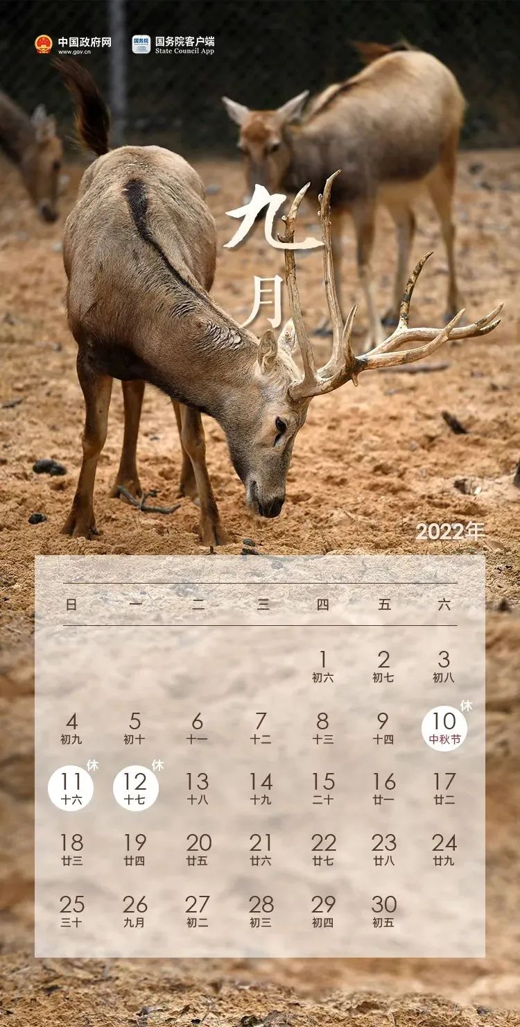今年端午不调休！2022假期余额进入倒计时→休闲区蓝鸢梦想 - Www.slyday.coM