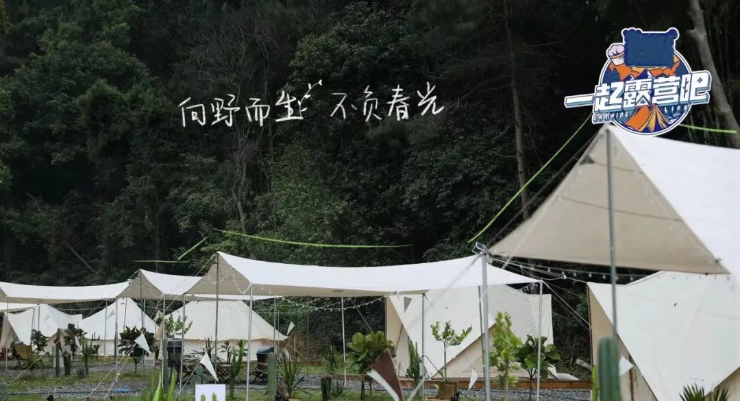 晚间时段首播文艺节目收视综合分析（2022年4月30日—5月6日）休闲区蓝鸢梦想 - Www.slyday.coM